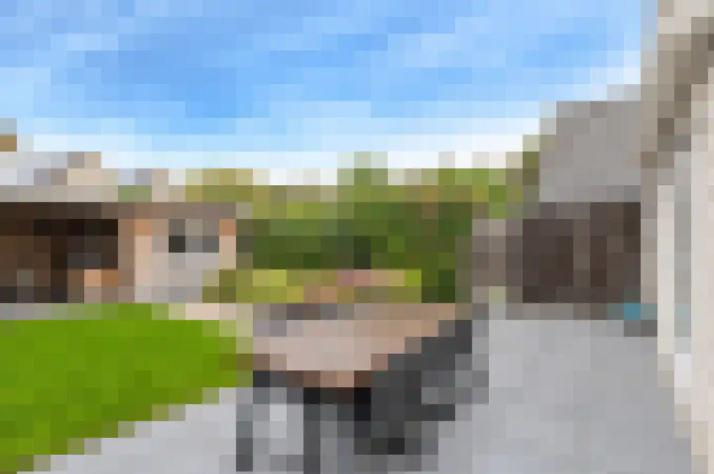 't Staakske 24 Hank thumbnail 43