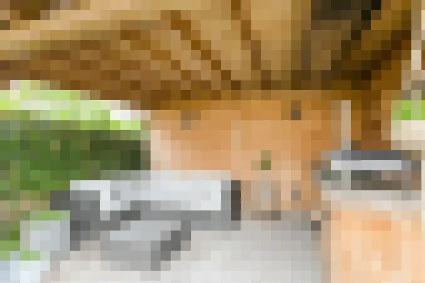 't Staakske 24 Hank thumbnail 45