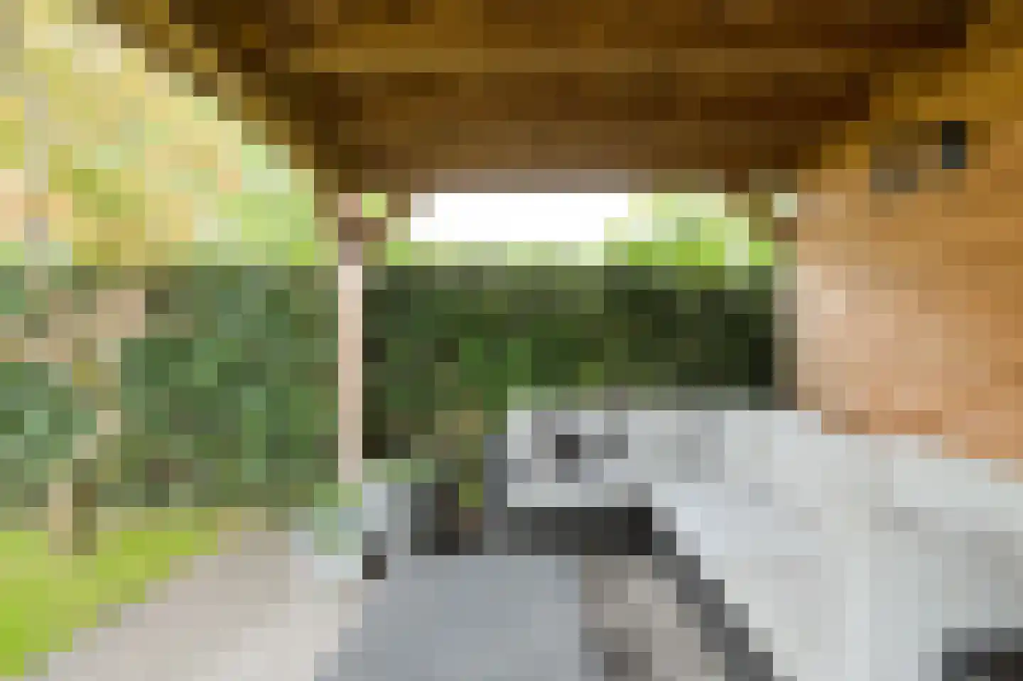 't Staakske 24 Hank thumbnail 46