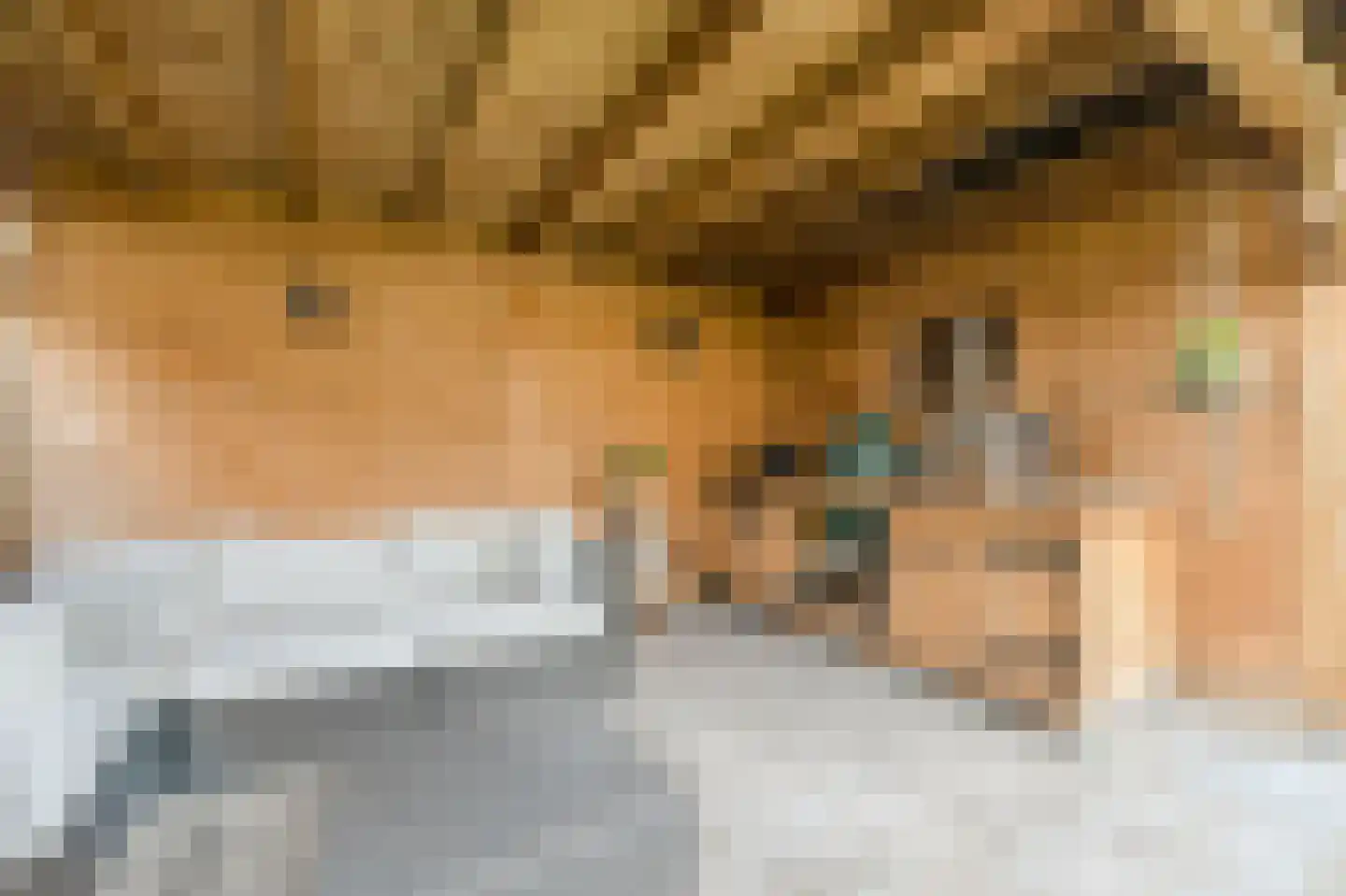 't Staakske 24 Hank thumbnail 47