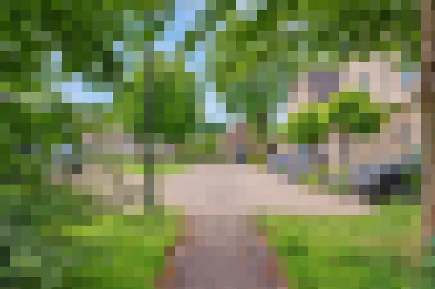 't Staakske 24 Hank thumbnail 5