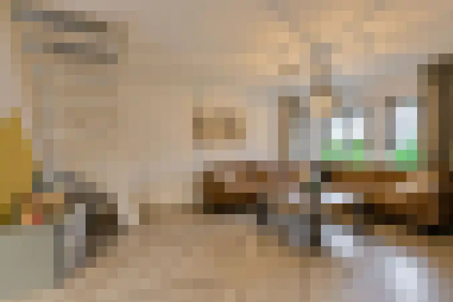 't Staakske 24 Hank thumbnail 7