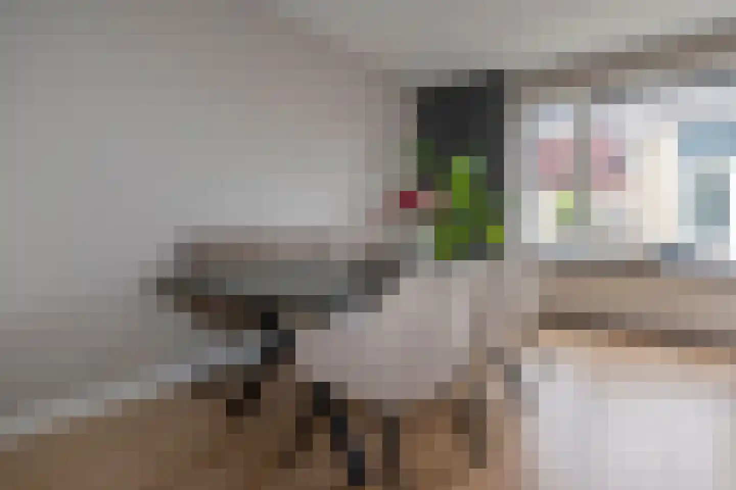 't Stede 23 Assen thumbnail 12
