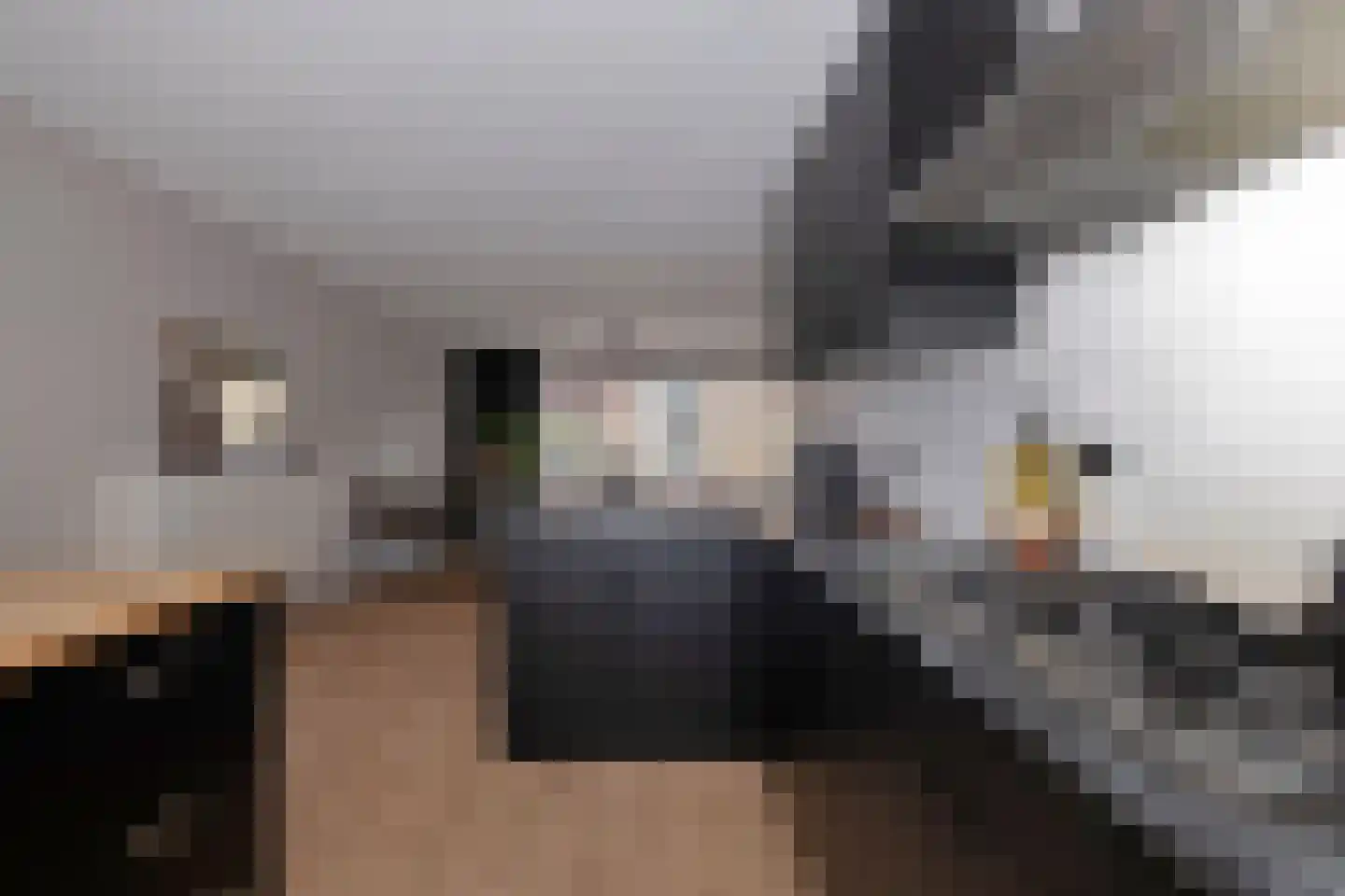 't Stede 23 Assen thumbnail 23