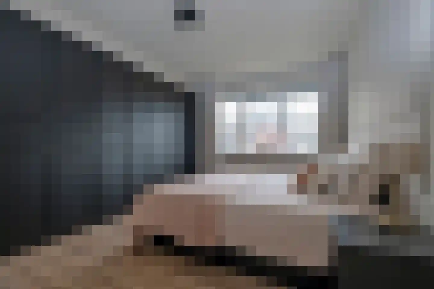 't Stede 23 Assen thumbnail 25