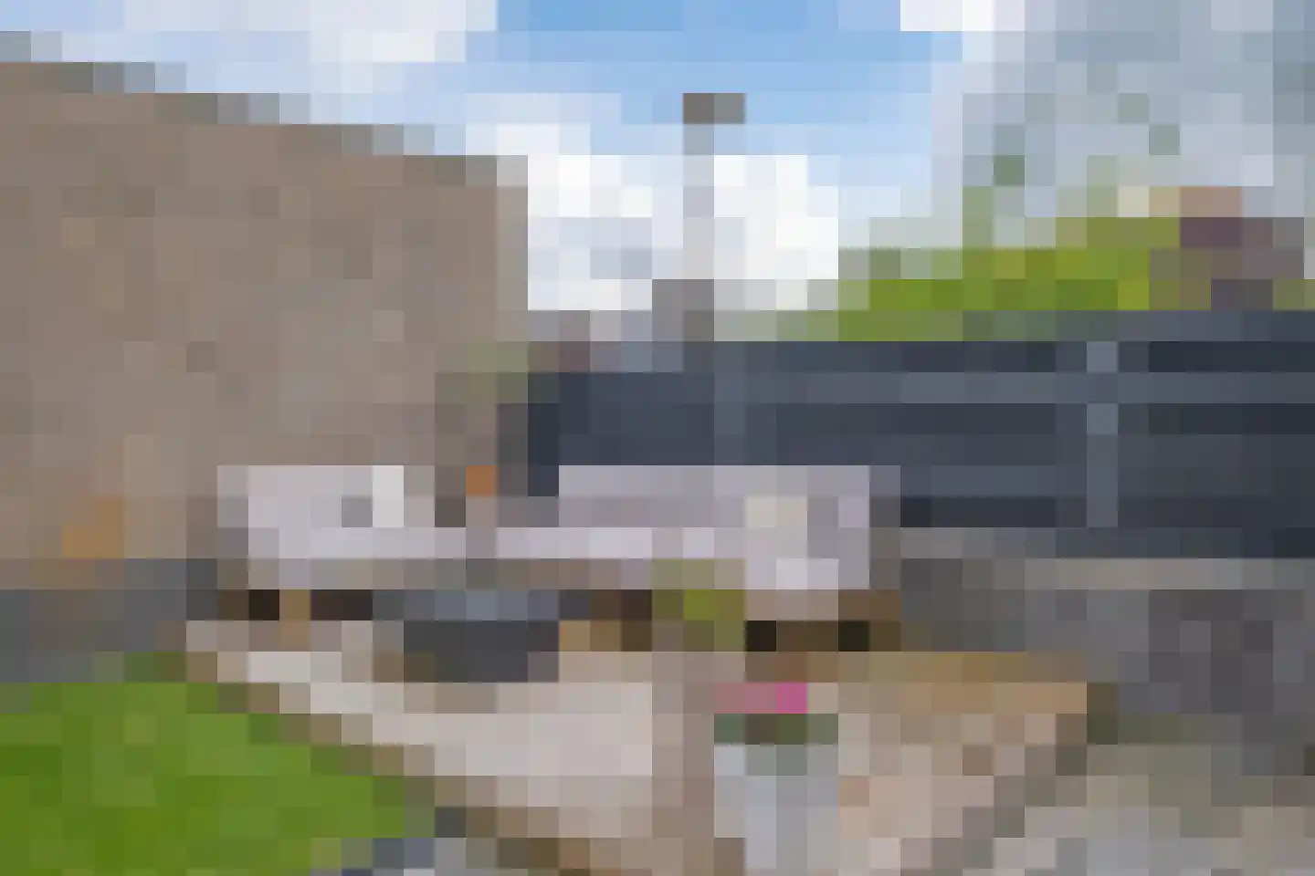 't Stede 23 Assen thumbnail 36