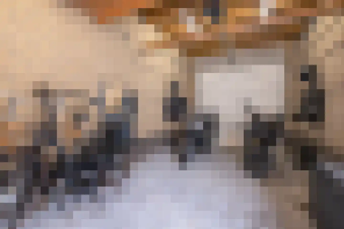 't Stede 23 Assen thumbnail 45