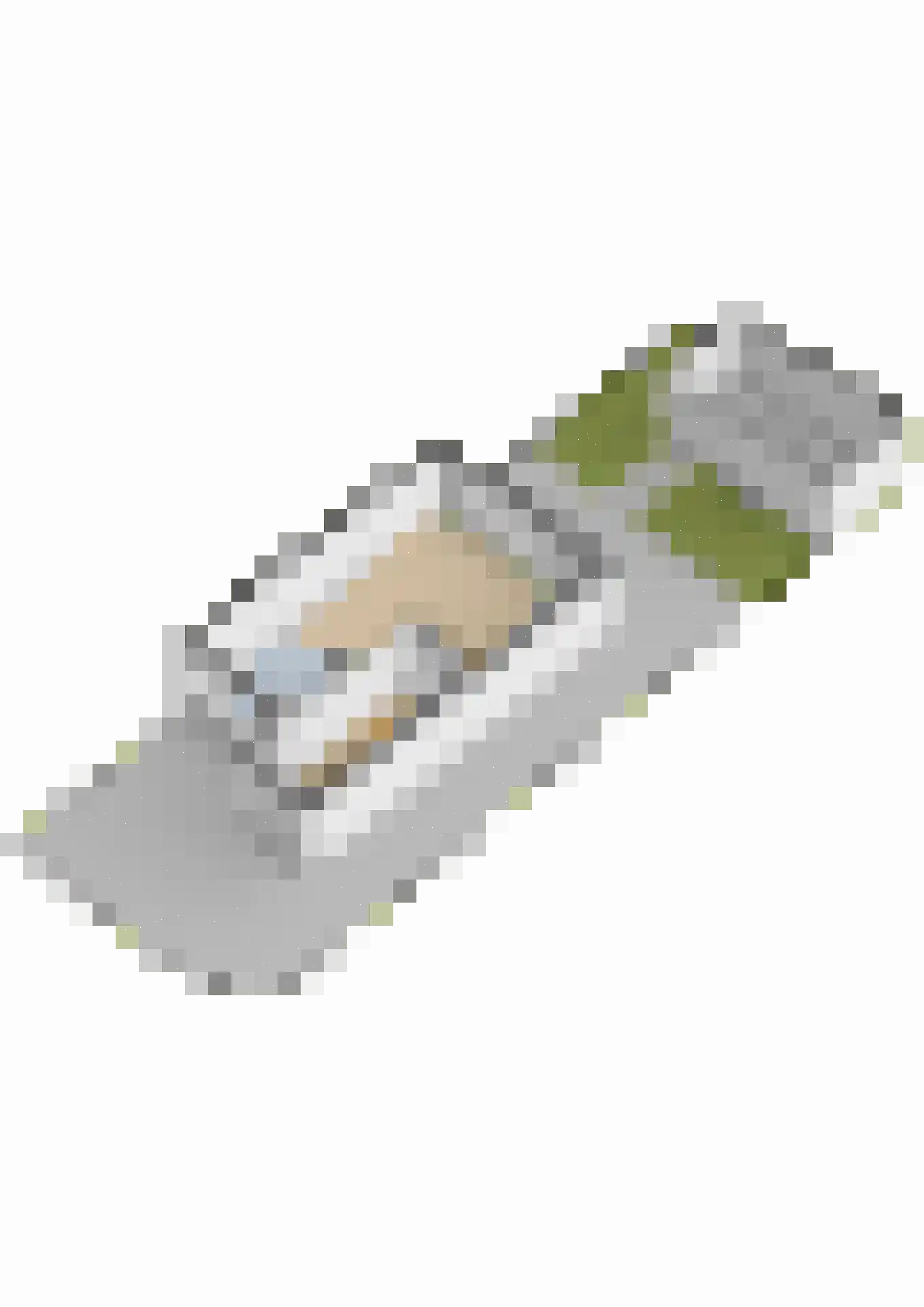 't Stede 23 Assen thumbnail 58