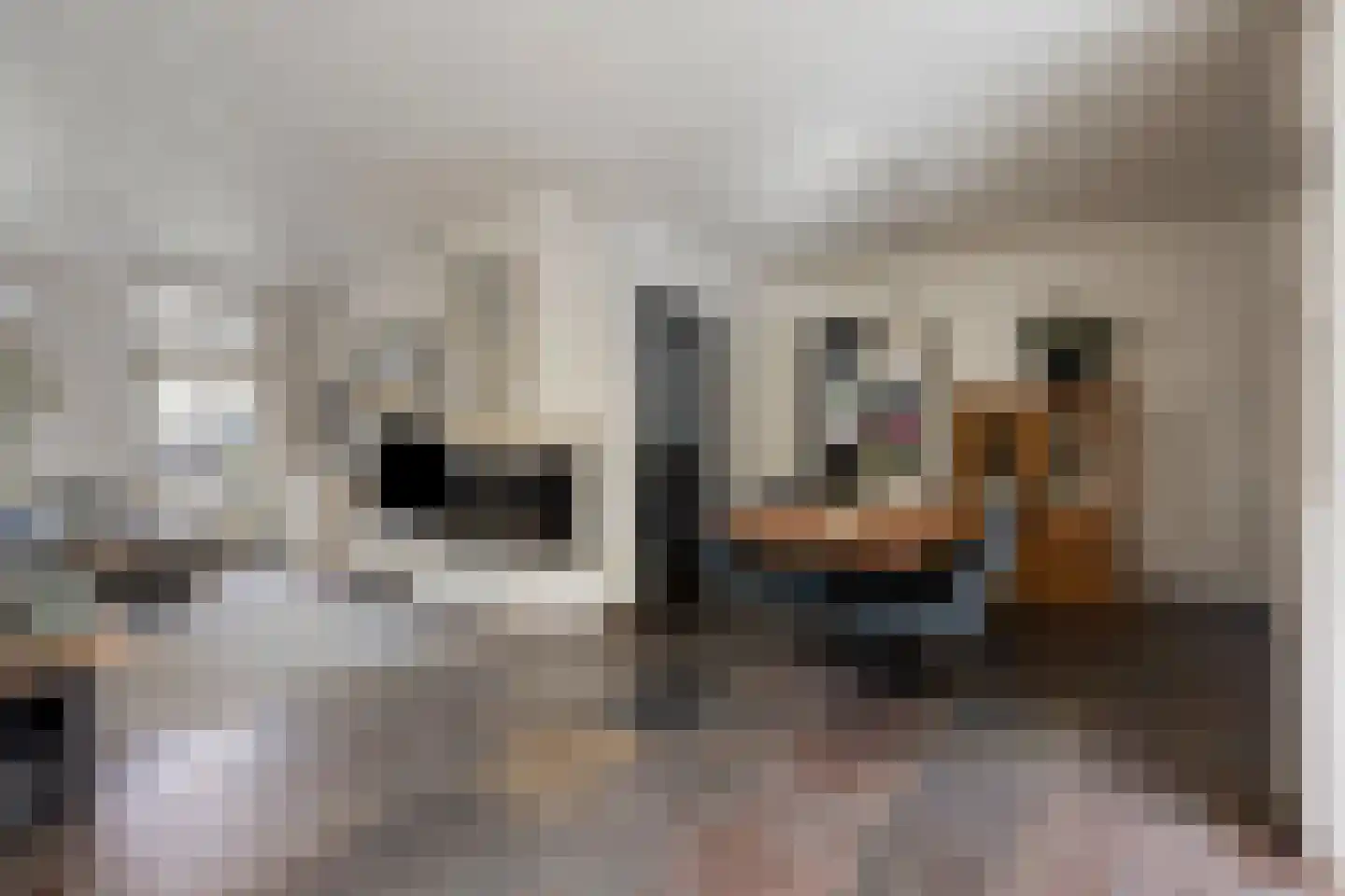 't Steenwerk 13 Deursen-Dennenburg thumbnail 21