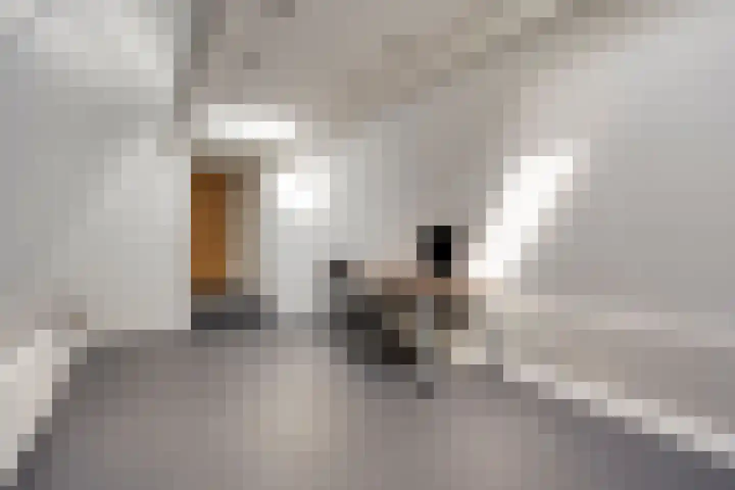 't Steenwerk 13 Deursen-Dennenburg thumbnail 46