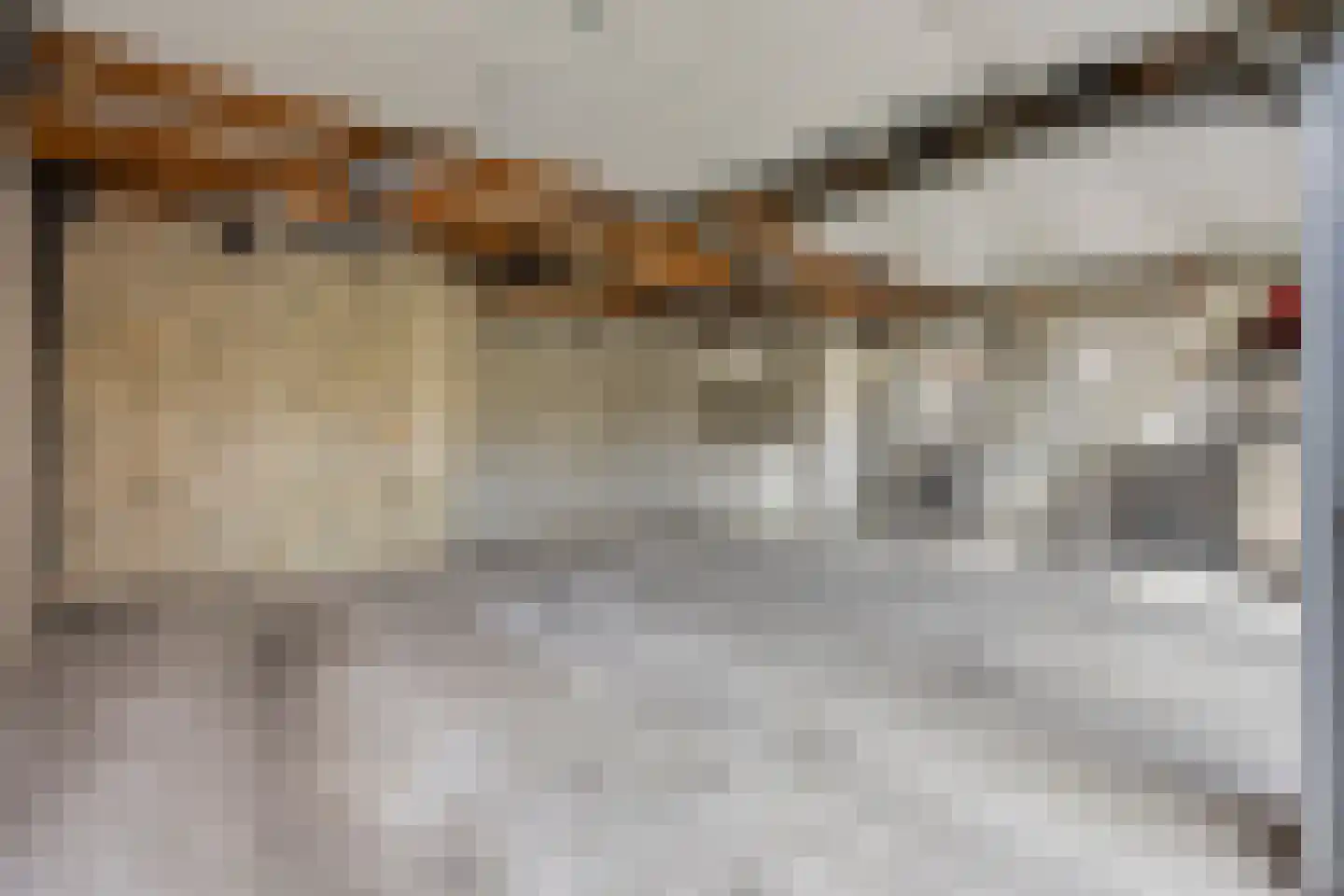 't Steenwerk 13 Deursen-Dennenburg thumbnail 51