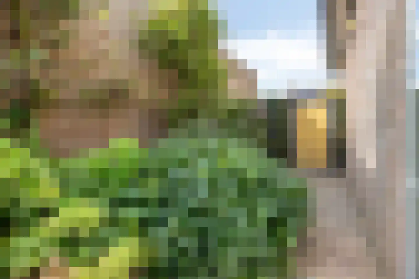 't Steenwerk 13 Deursen-Dennenburg thumbnail 55