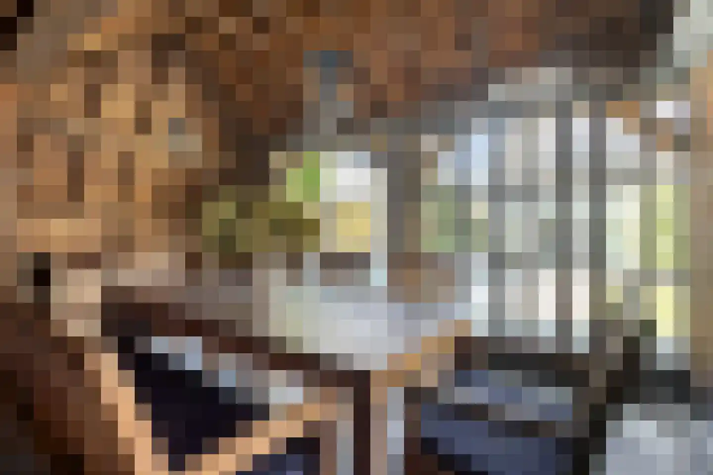 't Steenwerk 13 Deursen-Dennenburg thumbnail 60
