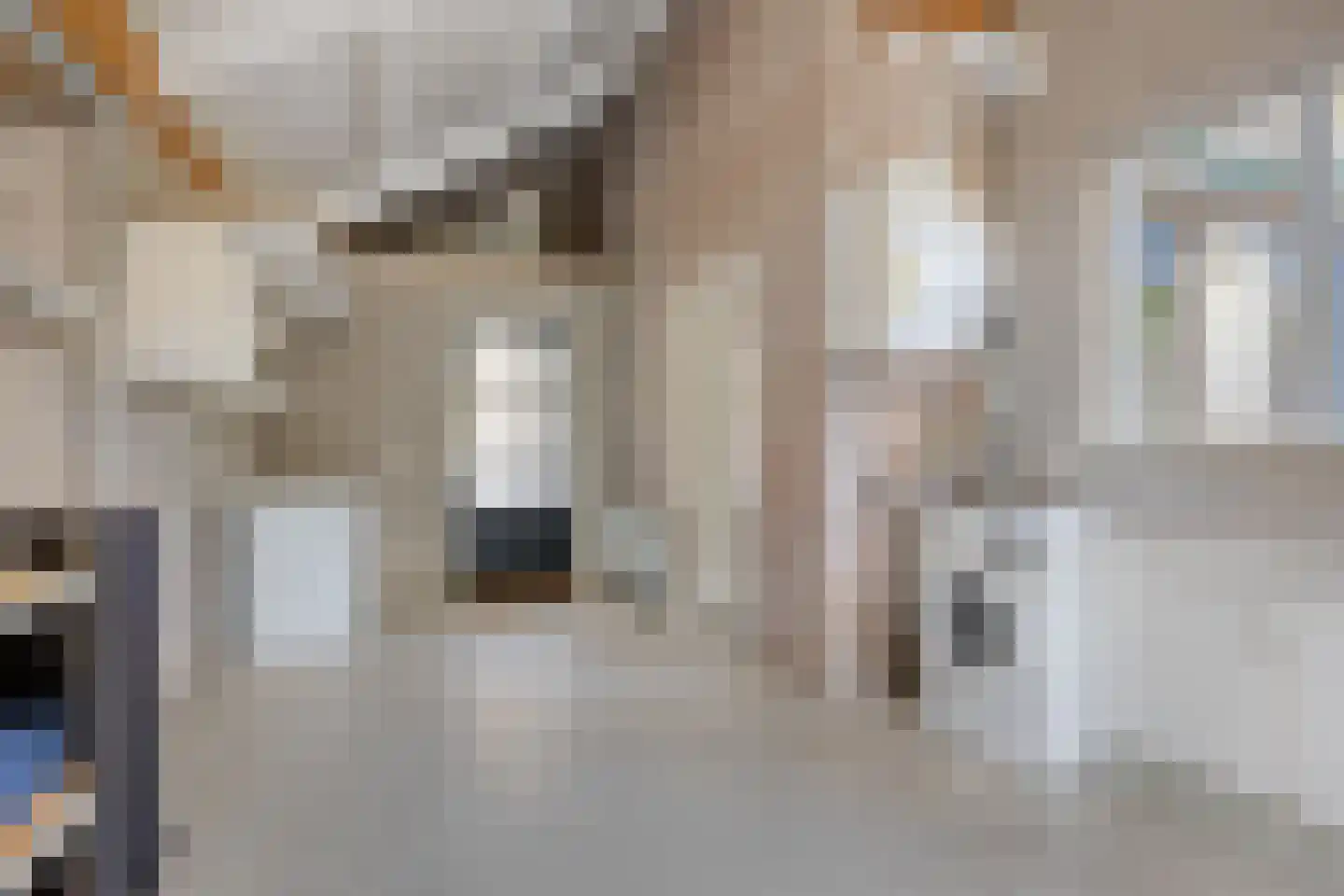't Steenwerk 9 Deursen-Dennenburg thumbnail 16