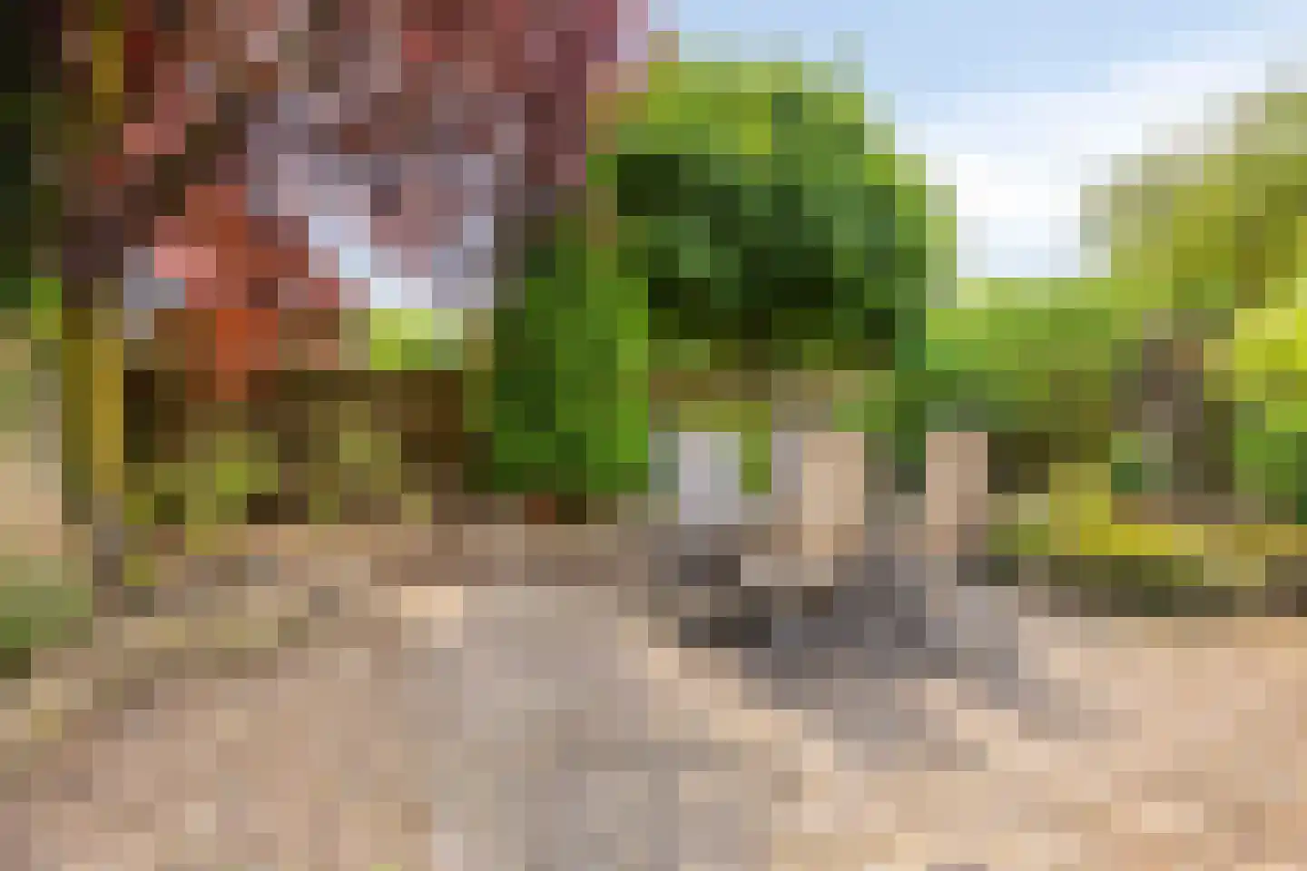 't Steenwerk 9 Deursen-Dennenburg thumbnail 31