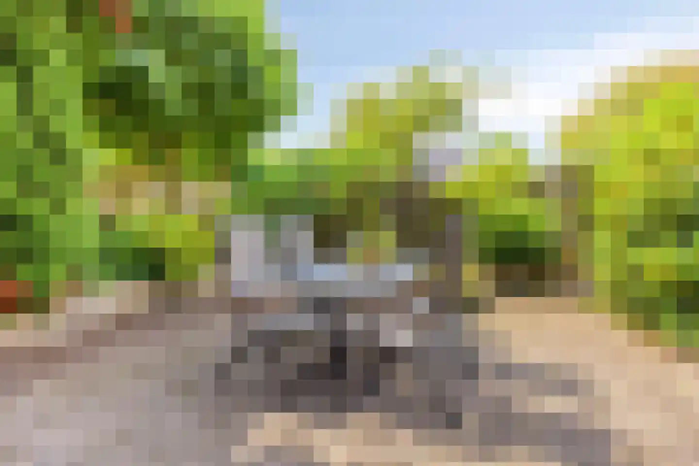 't Steenwerk 9 Deursen-Dennenburg thumbnail 32