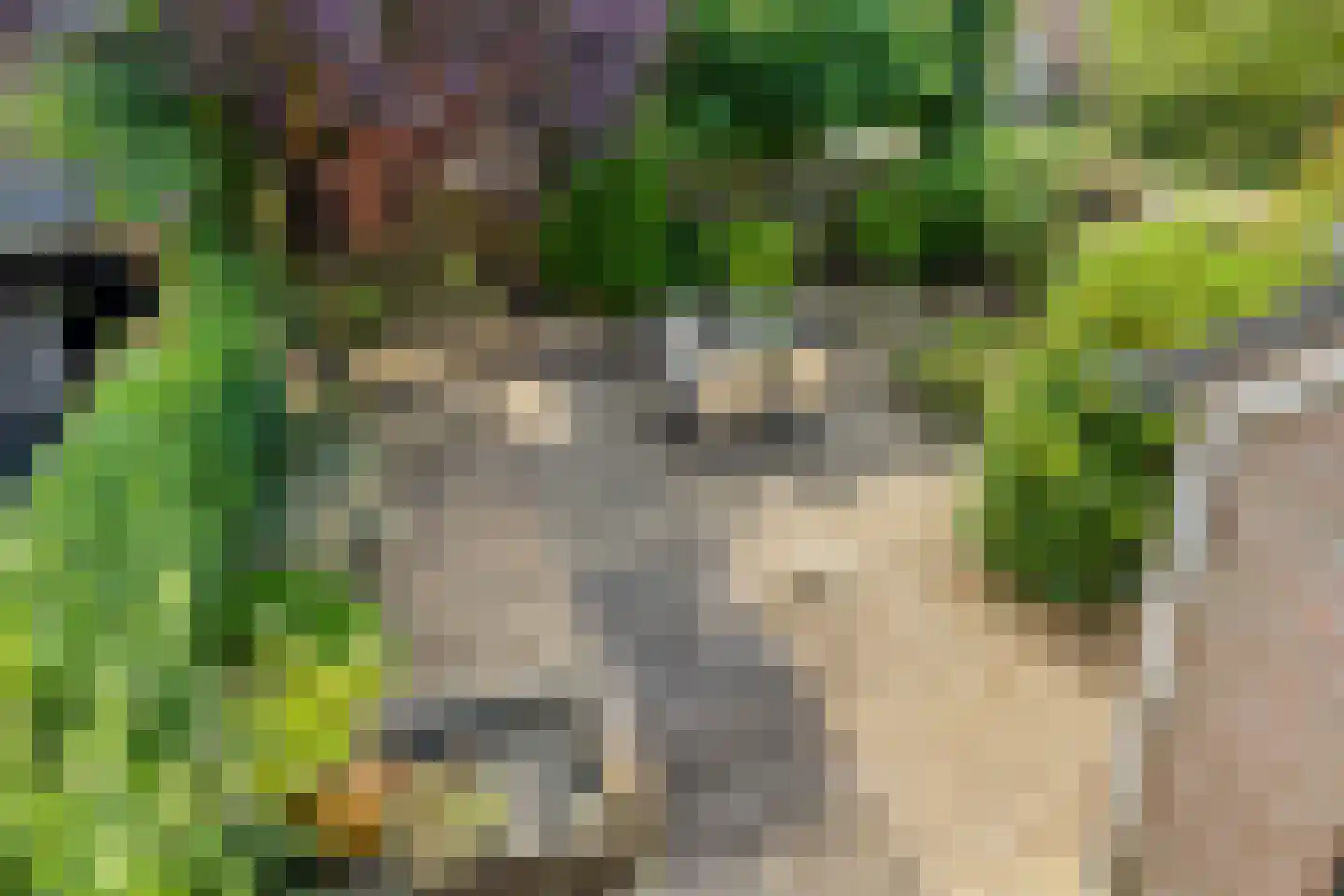 't Steenwerk 9 Deursen-Dennenburg thumbnail 34