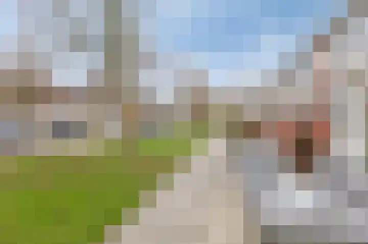 't Stegeslag 107 Zevenaar thumbnail 11