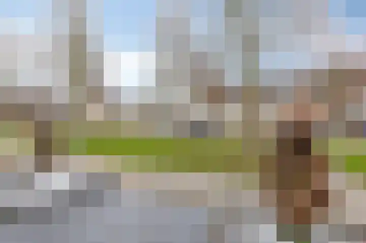 't Stegeslag 107 Zevenaar thumbnail 13