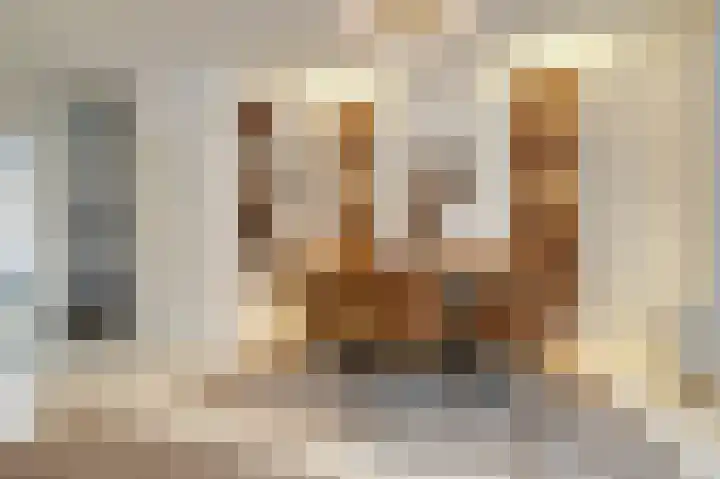 't Stegeslag 107 Zevenaar thumbnail 21