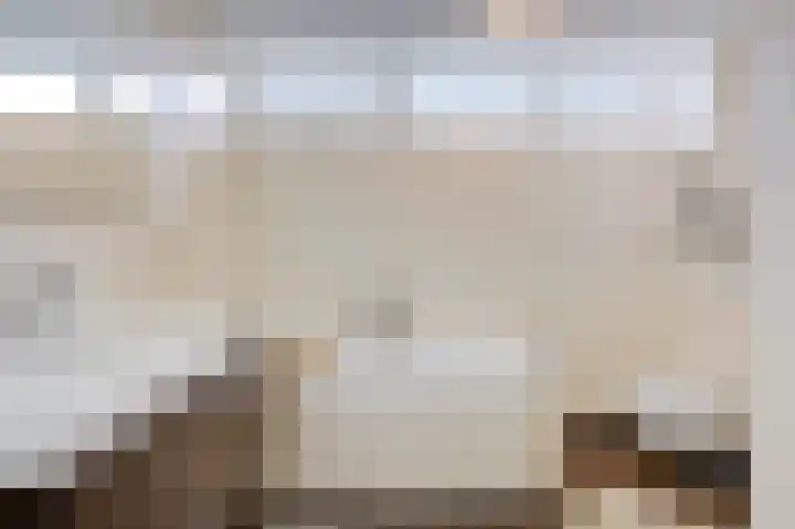 't Stegeslag 107 Zevenaar thumbnail 32