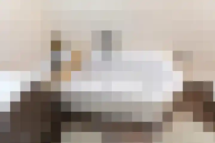 't Stegeslag 107 Zevenaar thumbnail 35