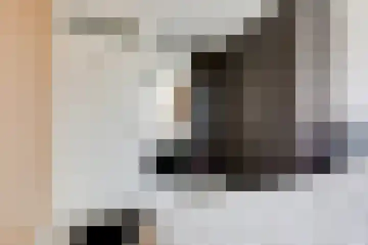 't Stegeslag 107 Zevenaar thumbnail 37
