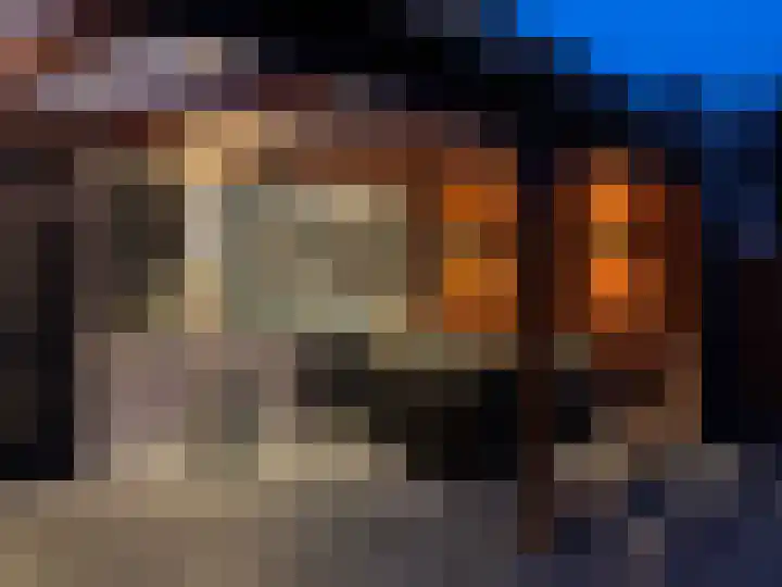't Stegeslag 107 Zevenaar thumbnail 52