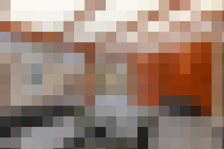 't Stegeslag 107 Zevenaar thumbnail 54