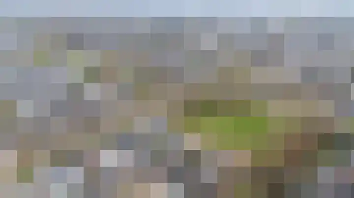 't Stegeslag 107 Zevenaar thumbnail 62
