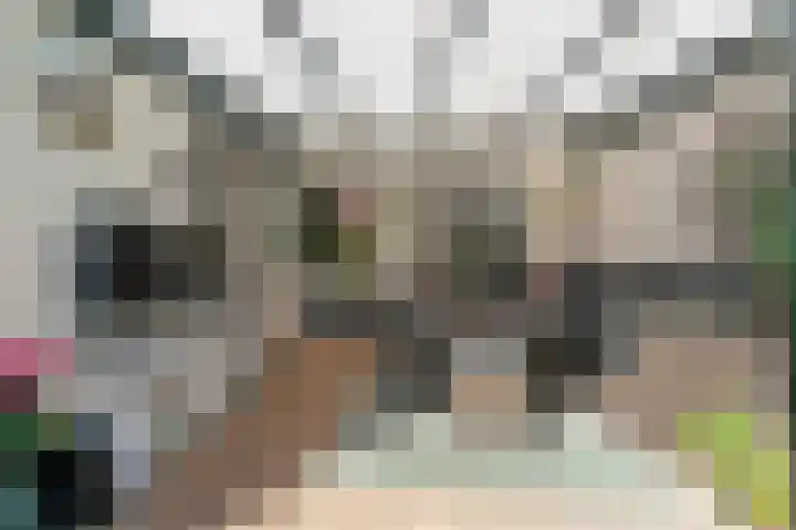 't Stegeslag 29 Zevenaar thumbnail 23