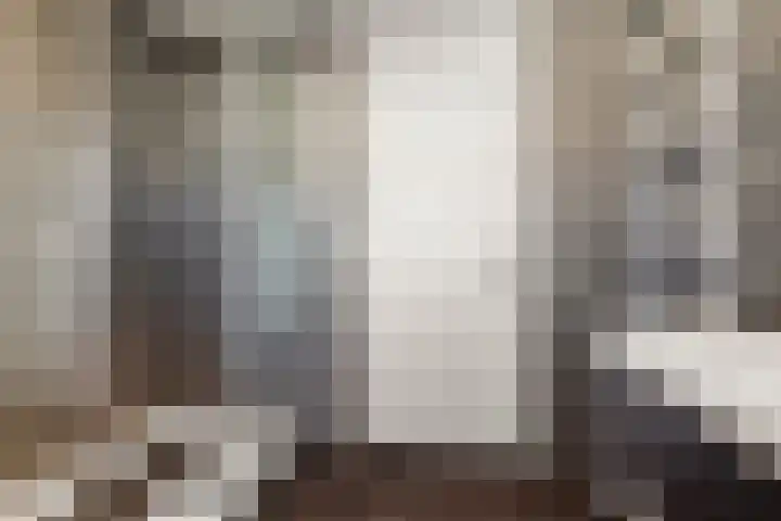 't Stegeslag 29 Zevenaar thumbnail 35