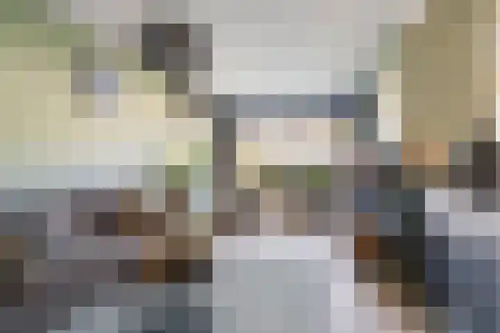 't Stegeslag 29 Zevenaar thumbnail 4