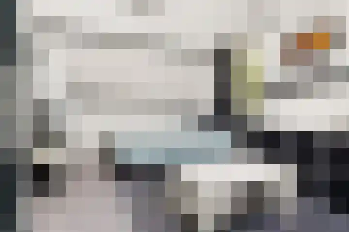 't Stegeslag 29 Zevenaar thumbnail 41