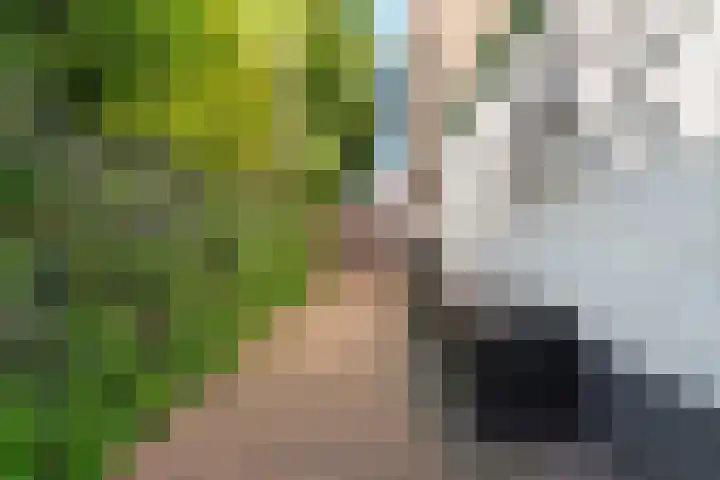 't Stegeslag 29 Zevenaar thumbnail 48