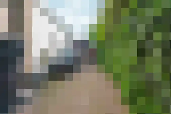 't Stegeslag 29 Zevenaar thumbnail 49