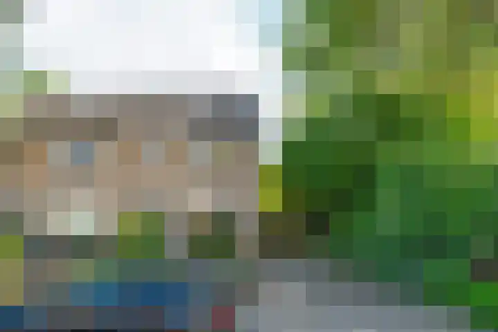 't Stegeslag 29 Zevenaar thumbnail 50
