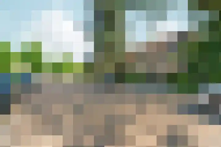 't Stegeslag 29 Zevenaar thumbnail 52