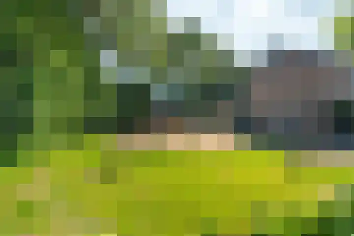 't Stegeslag 29 Zevenaar thumbnail 54