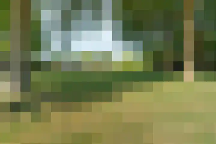 't Stegeslag 29 Zevenaar thumbnail 55