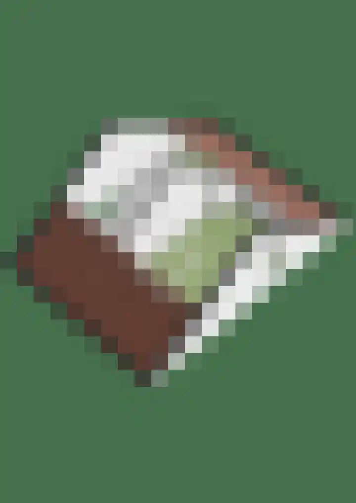 't Stegeslag 29 Zevenaar thumbnail 61