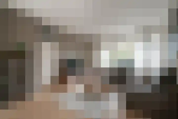 't Stegeslag 4 Zevenaar thumbnail 10