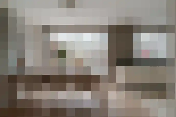 't Stegeslag 4 Zevenaar thumbnail 13