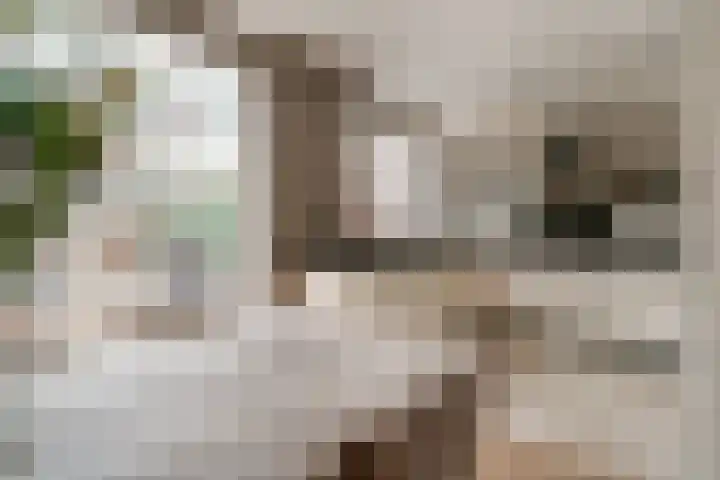 't Stegeslag 4 Zevenaar thumbnail 14