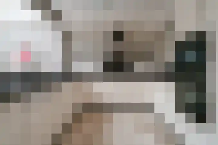 't Stegeslag 4 Zevenaar thumbnail 15