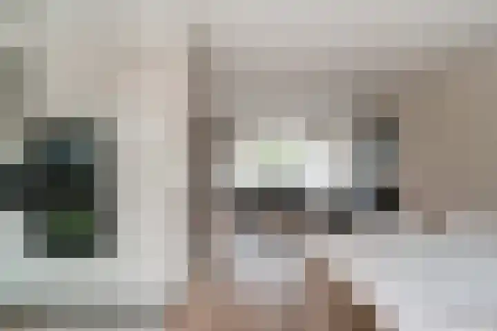 't Stegeslag 4 Zevenaar thumbnail 17