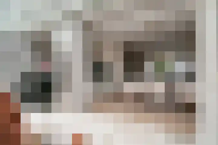't Stegeslag 4 Zevenaar thumbnail 19
