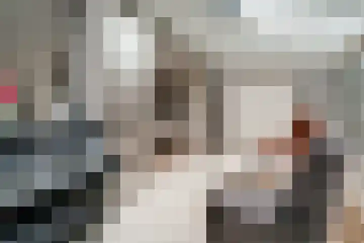 't Stegeslag 4 Zevenaar thumbnail 20