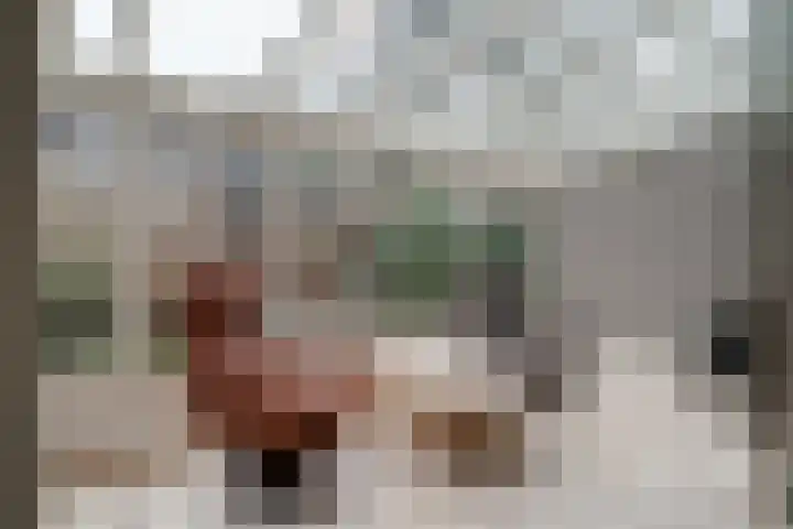 't Stegeslag 4 Zevenaar thumbnail 21