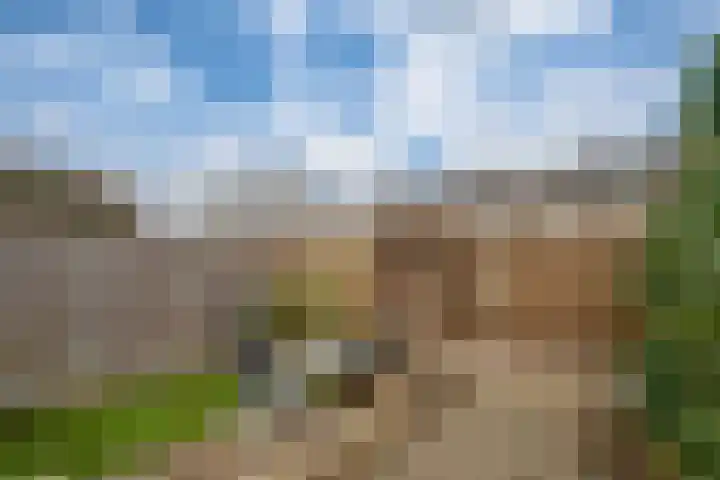 't Stegeslag 4 Zevenaar thumbnail 22